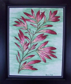 Fire Weed $270. framed 16x20 CPA99308