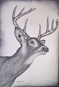 Pen & Ink  10 Point Buck 11x17 $25.00  151086