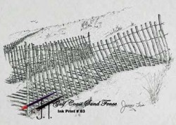 Pen & Ink Gulf Coast  Sand Fence 11x17 $25.00   83A404